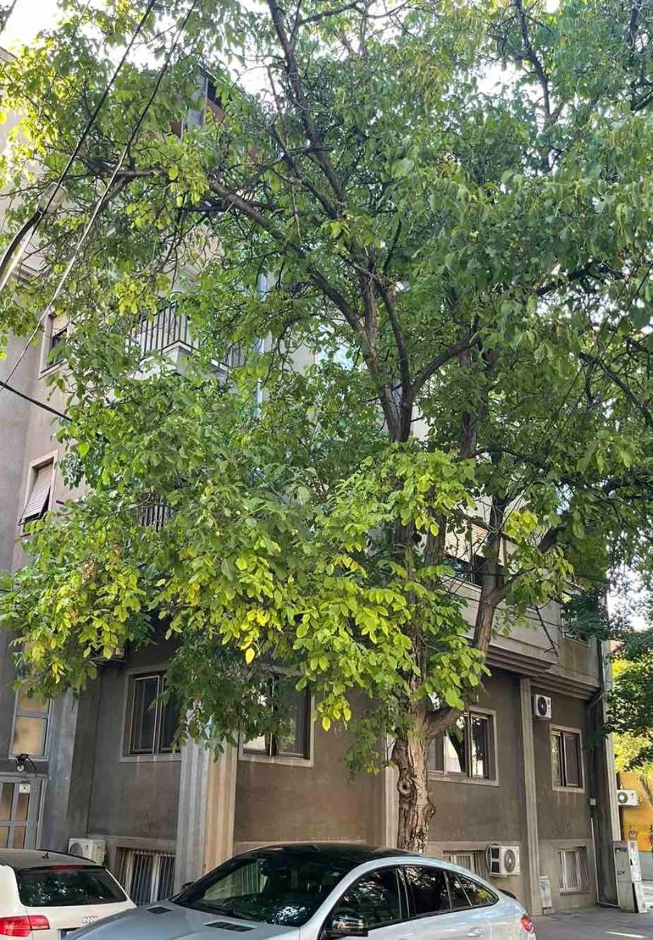 Urban Stay Σκόπια Εξωτερικό φωτογραφία